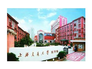 Shanghai Jiao Tong University (上海交通大学)